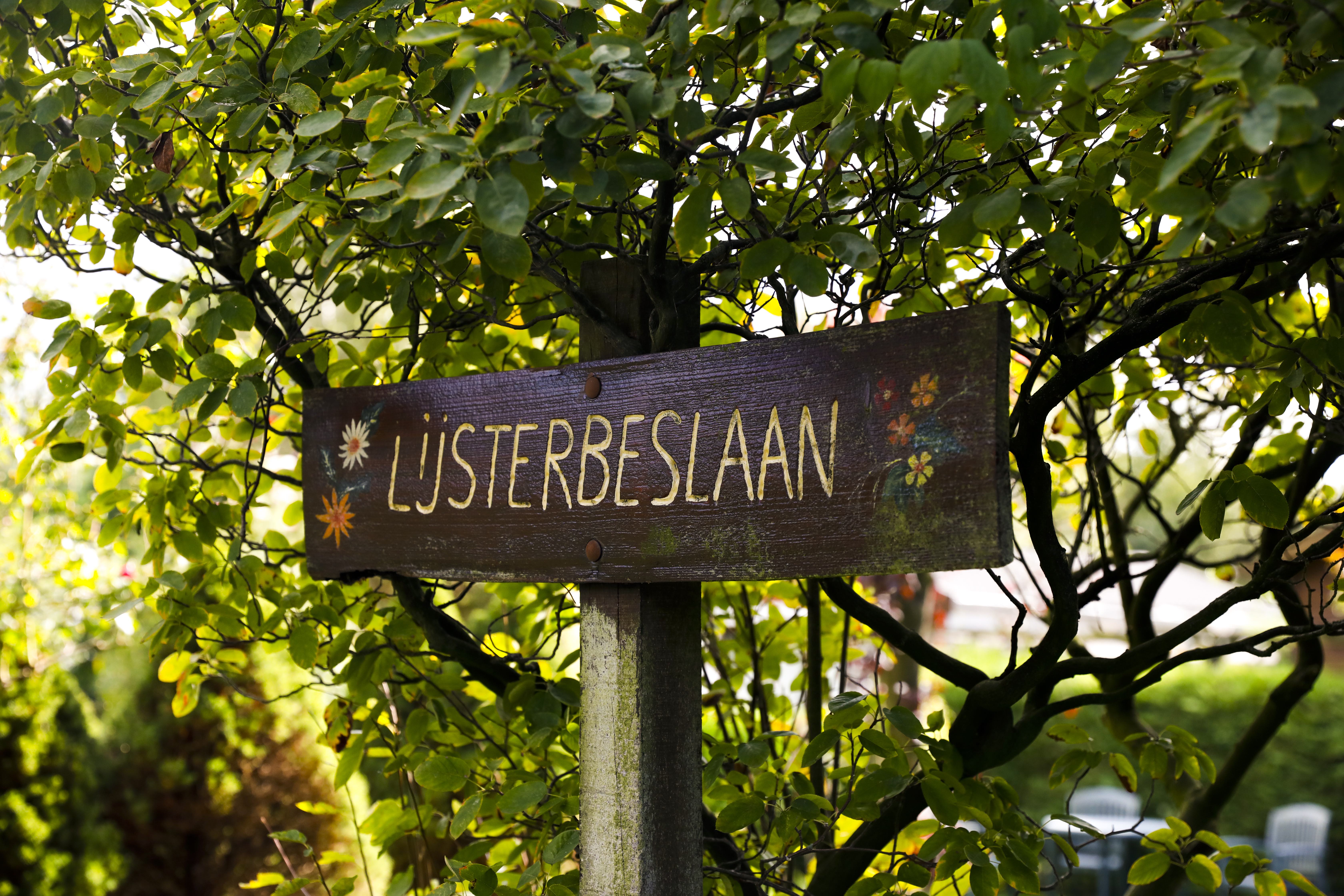 lijsterbeslaan